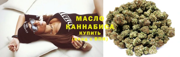 индика Саяногорск