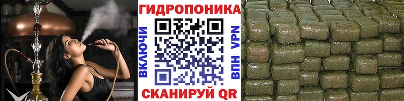 Бошки марихуана план  Новохопёрск 